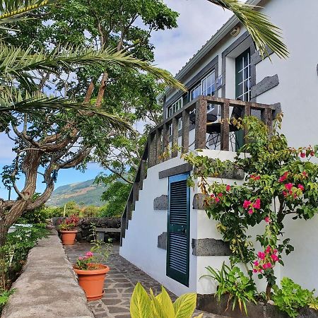 Casa Do Gato Preto Villa Santo Amaro  ภายนอก รูปภาพ