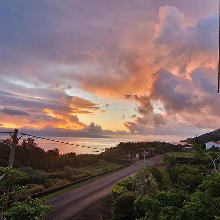 Casa Do Gato Preto Villa Santo Amaro  ภายนอก รูปภาพ