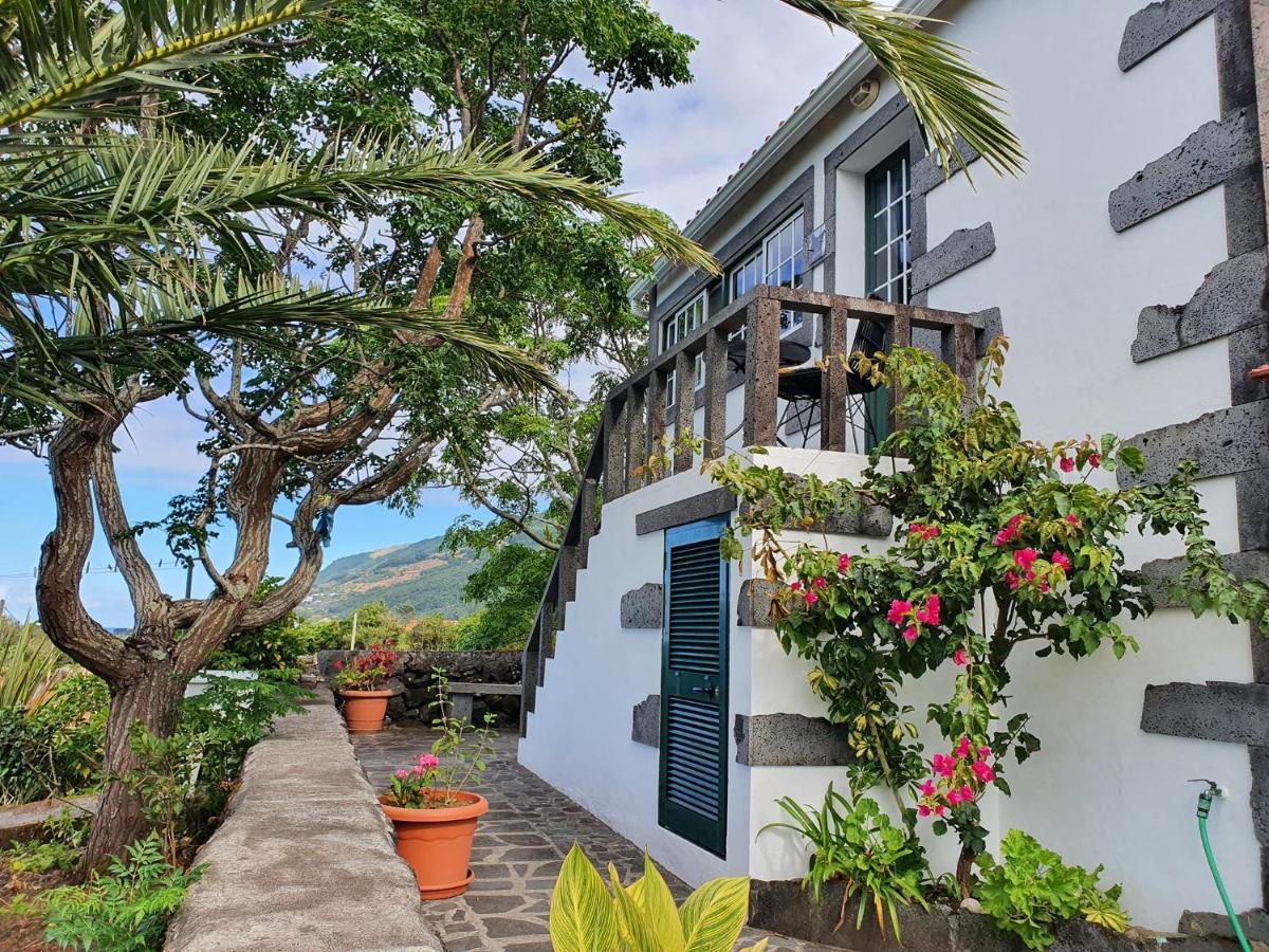 Casa Do Gato Preto Villa Santo Amaro  ภายนอก รูปภาพ