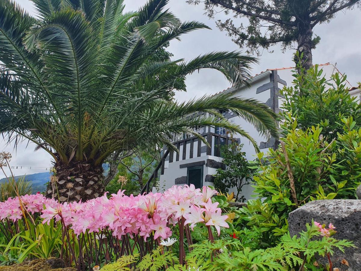 Casa Do Gato Preto Villa Santo Amaro  ภายนอก รูปภาพ